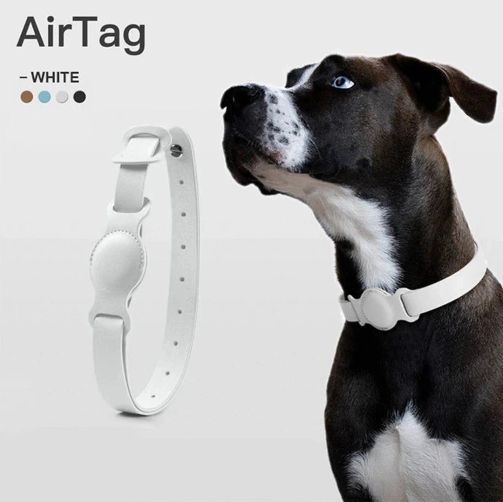 Dog wearing a white leather AirTag collar holder, showcasing a sleek and stylish pet tracking accessory in white.