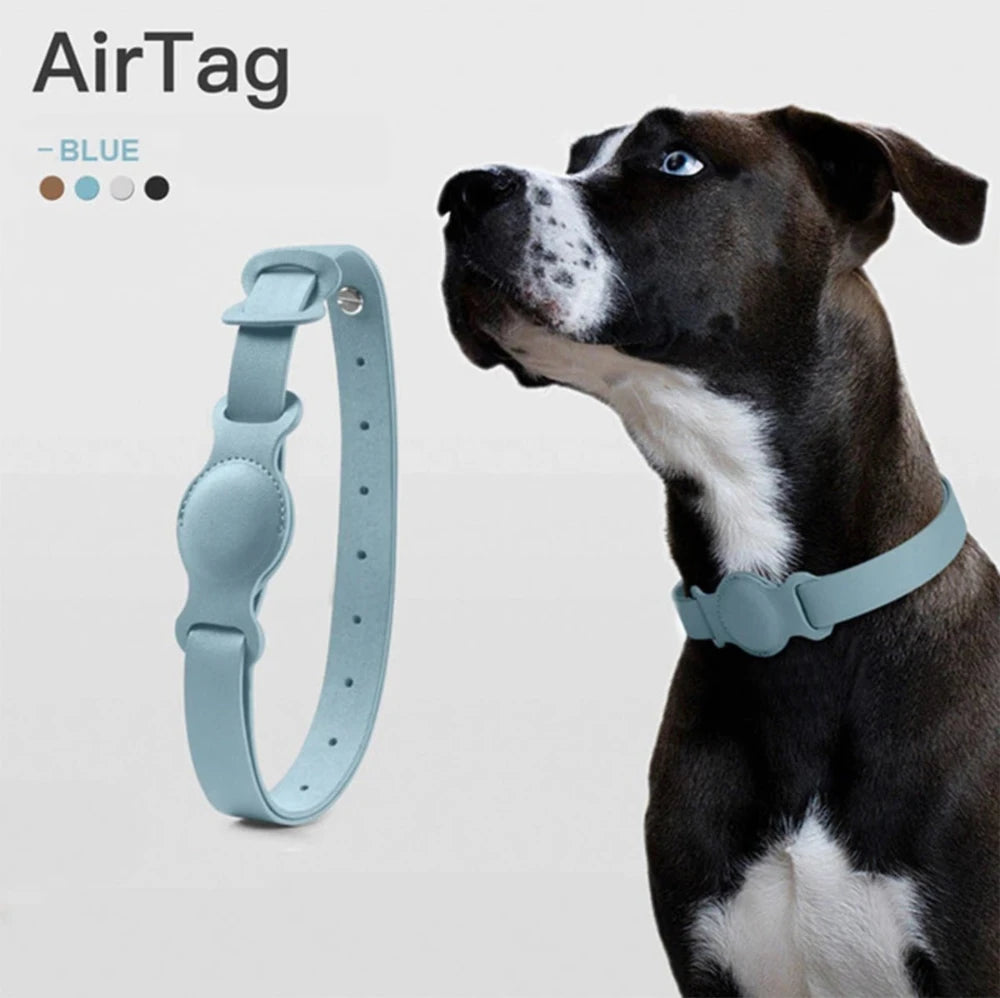 Dog wearing a blue leather AirTag collar holder, highlighting a durable and stylish pet tracking accessory in blue.