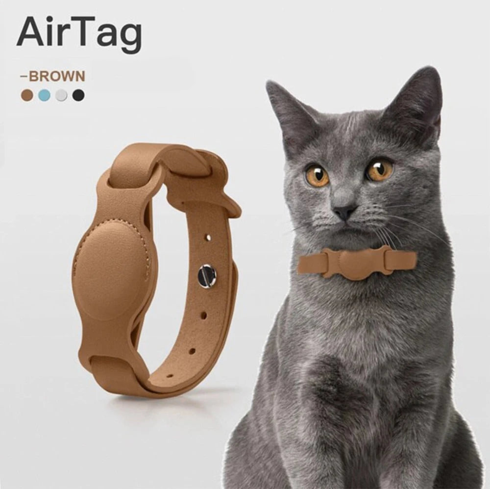 Gray cat wearing a brown leather AirTag collar holder, offering stylish and secure tracking for pets with a comfortable design.