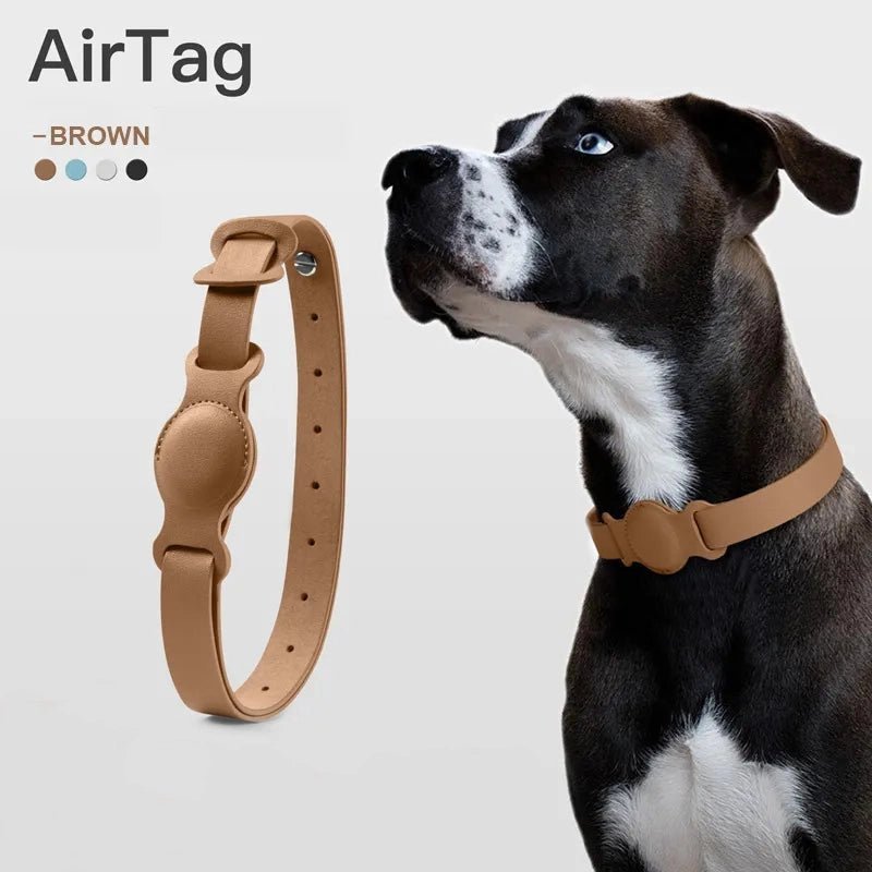 Dog wearing a brown leather AirTag collar holder, providing secure and comfortable tracking for pets in a stylish design.