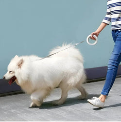 Person walking a fluffy white dog with moestar retractable pet leash