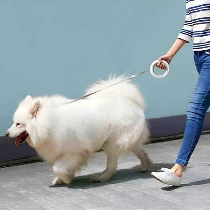 Walking a fluffy white dog using the MOESTAR UFO retractable dog leashю