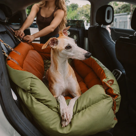 Dog sitting in a padded dog car booster bed with cushioned sides, olive green exterior and orange interior
