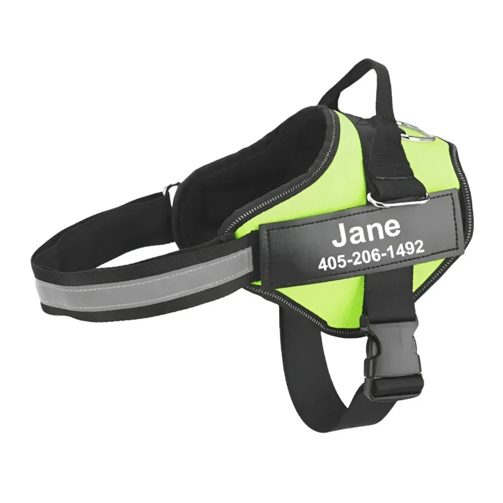 Green personalized dog harness with a custom name on a white background