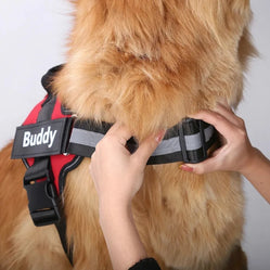 Adjustable personalized dog harness with reflective strap, providing a secure fit and increased visibility for your pet.