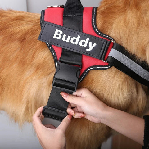 Close-up of a red personalized reflective dog harness being adjusted for a perfect fit, ideal for safe and secure walks.