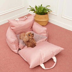 Small brown dog sitting in a pink cushioned pet seat indoors