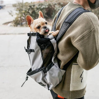 Pet walking backpack carrier in gray with a French bulldog inside.