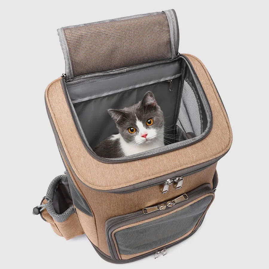 Overhead view of pet carrier bag on wheels with cat inside