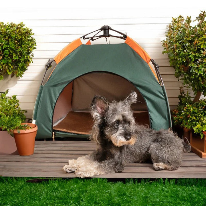Small dog lounging in front of a pet tent outdoor with plants around it