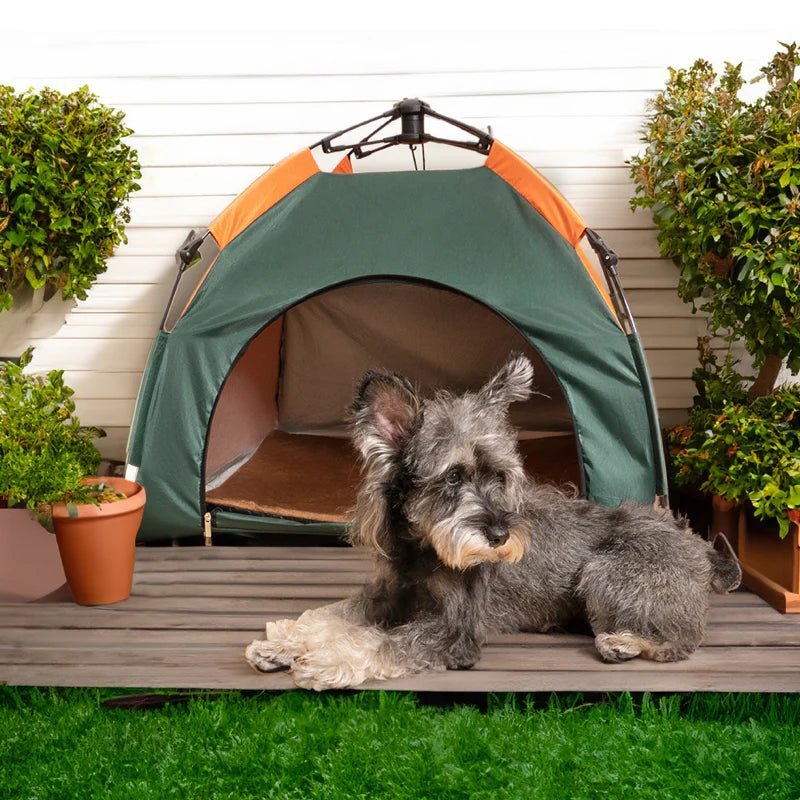 Small dog resting in front of a waterproof pet tent, perfect for both cats and dogs, ideal for outdoor use.