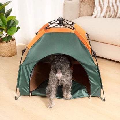 Small dog entering a waterproof pet tent for cats and small dogs, perfect for indoor or outdoor use.