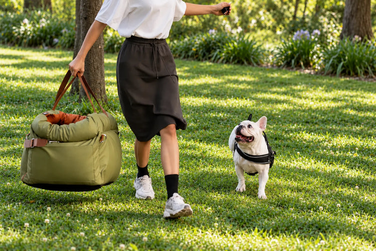 Woman carrying an olive green luxury dog car bed while walking with a French Bulldog in a green park