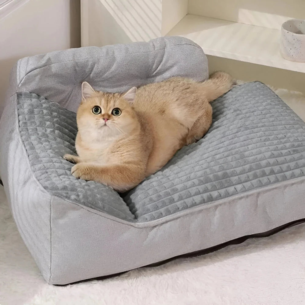 A cat resting on cat bed pillow indoors