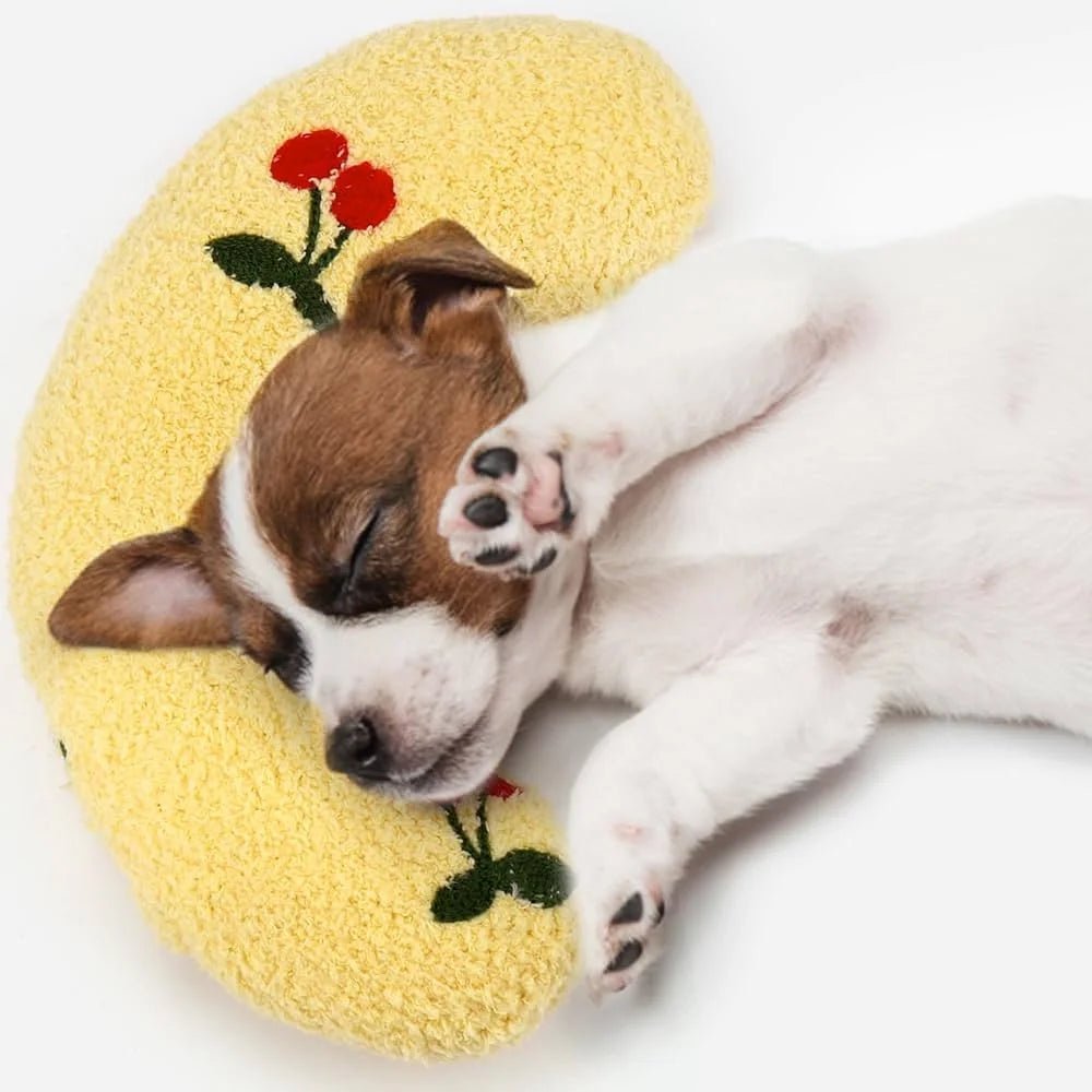 Sleepy dog resting head on pillow on a yellow cushion