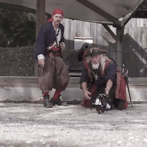 Dachshund in a small dog pirate costume running along a sandy road after a man lets it go
