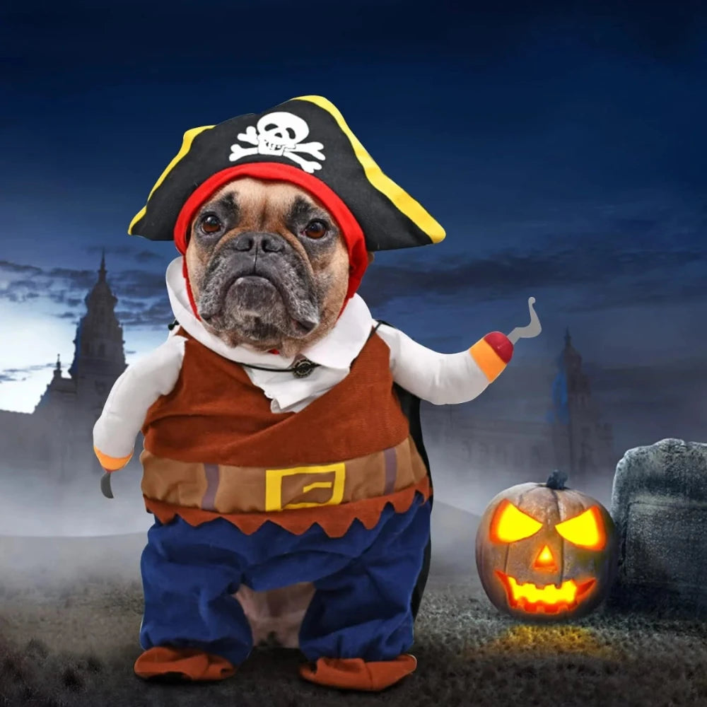 Adorable pirate dog costume featuring a French Bulldog with a pirate hat and hook, perfect for Halloween.