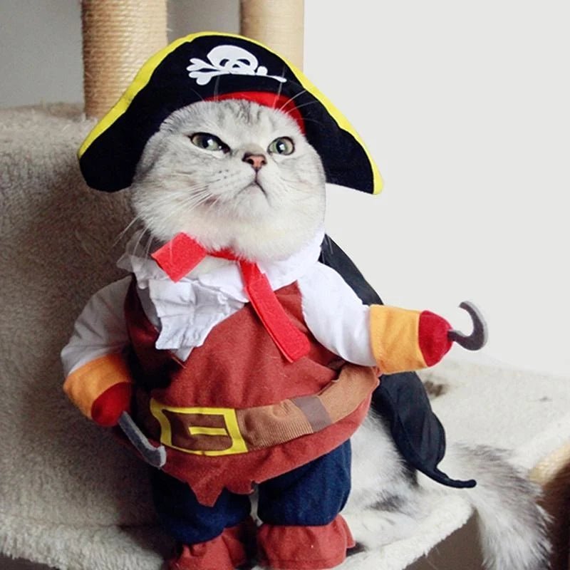 Cat dressed in pirate costume with hat and hook, perfect for Halloween or fun pet dress-up, available at FluffyPuppy.