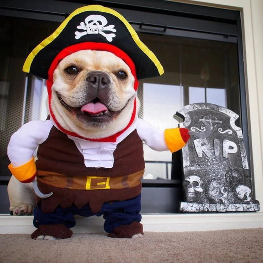 French Bulldog in pirate costume with hat and hook, perfect for Halloween pet outfits, available at FluffyPuppy pet store.