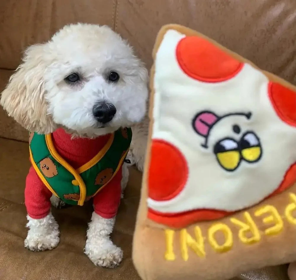 Cute dog wearing a colorful outfit with a plush pizza toy, perfect for squeaky fun and playtime.