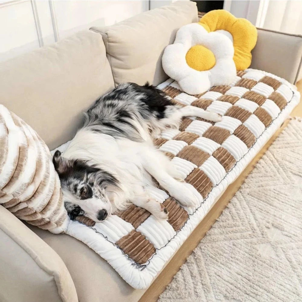 Dog resting on a cozy plush chenille sofa cover with a beige and white checker pattern for added comfort.