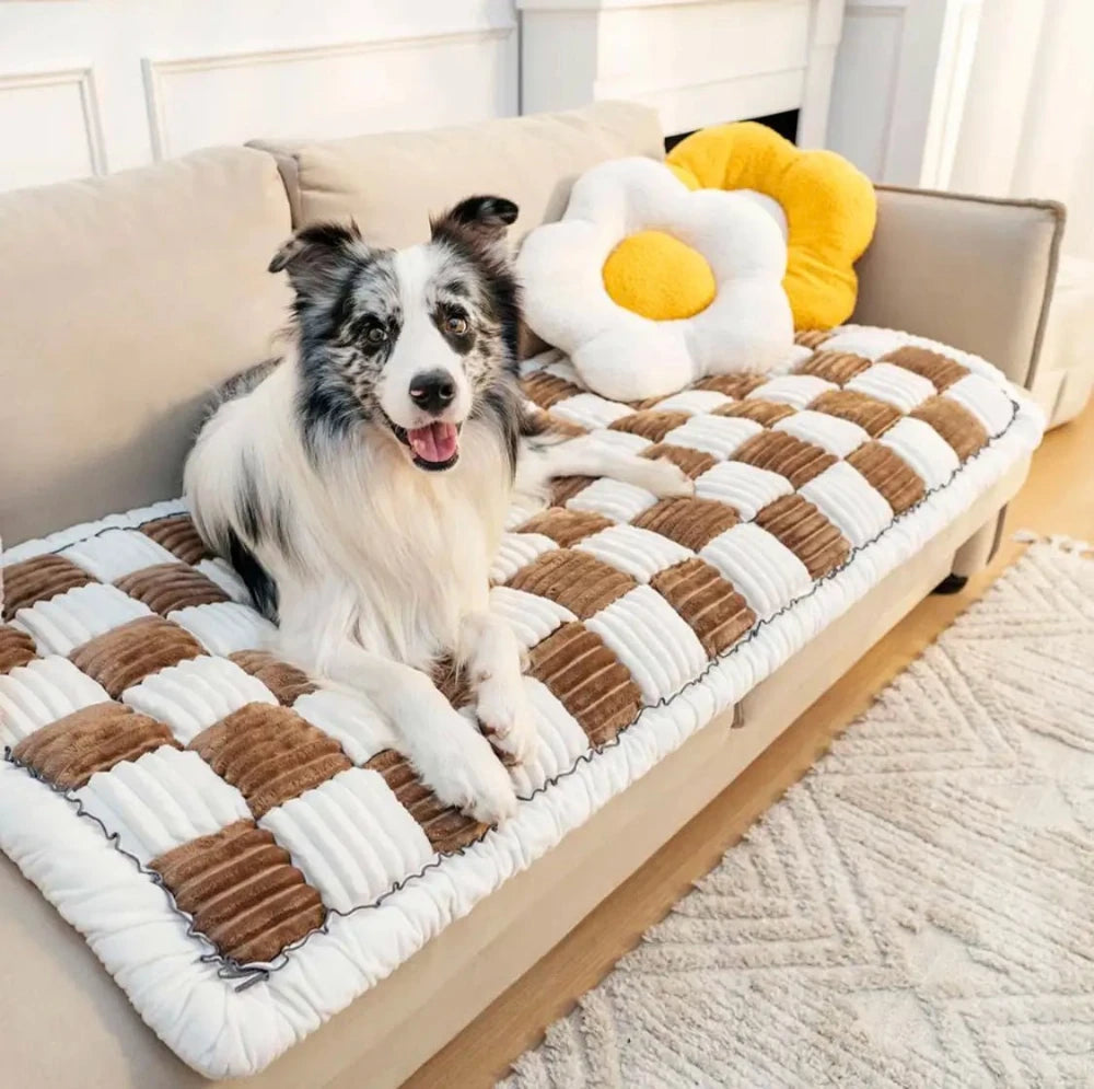 Plush chenille dog and cat sofa cover, offering cozy protection for furniture, perfect for pets who love lounging.