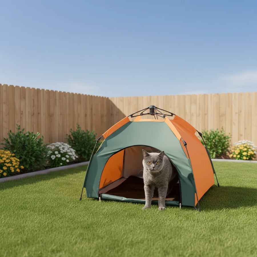 gray cat standing at the entrance of a pop up outdoor cat tent on grass in a fenced backyard