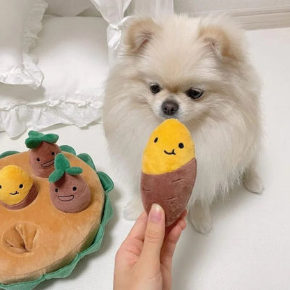 Small dog playing with interactive plush potato sniffing toy, perfect for mental stimulation and training exercises.