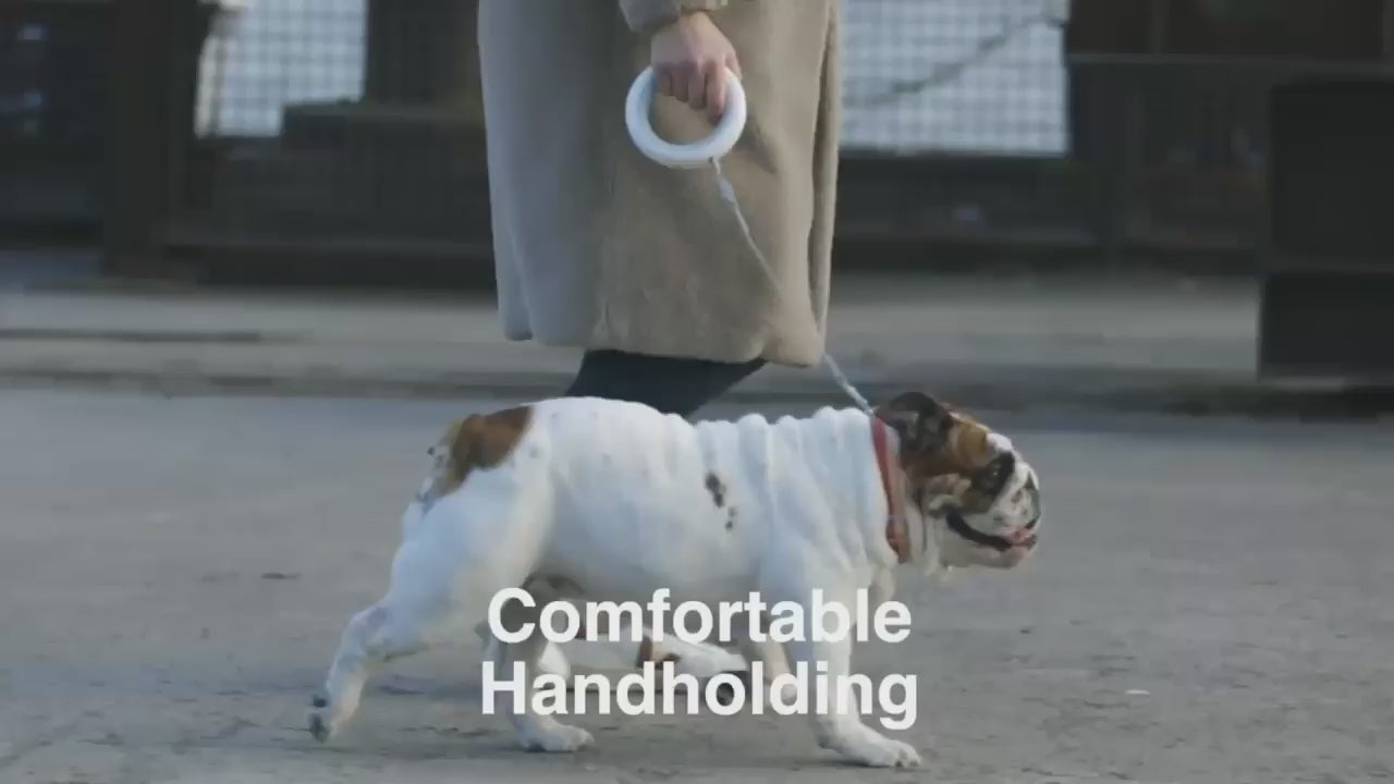 Load video: Video featuring a dog using a MOESTAR retractable leash, demonstrating ease and convenience for pet walks.