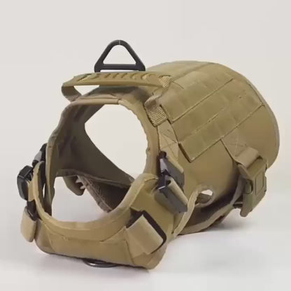 Video highlighting a tactical dog harness, showcasing durability and comfort for active pets.