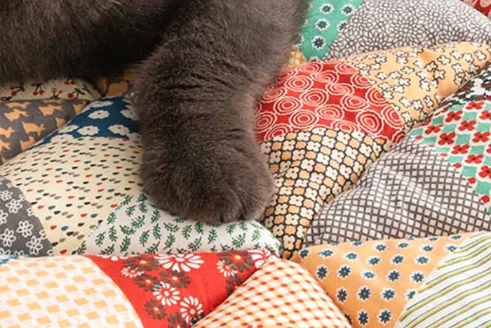 Close-up of a cat's paw on a colorful rainbow patchwork sofa cover, perfect for protecting furniture in style.