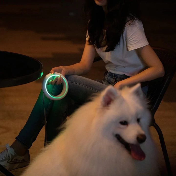 Woman holding a glowing retractable night walking dog leash outdoors with a fluffy dog nearby
