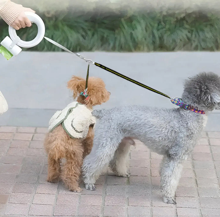 Person walking two dogs using a stylish retractable dog leash with bag holder