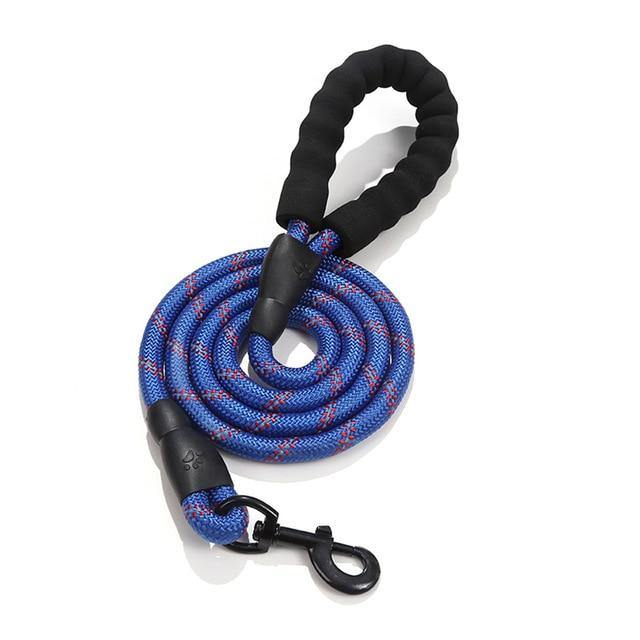 Blue rope dog leash coiled with padded handle on white background