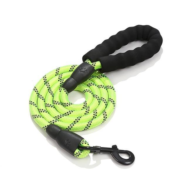 Green rope dog leash coiled with padded handle on white background