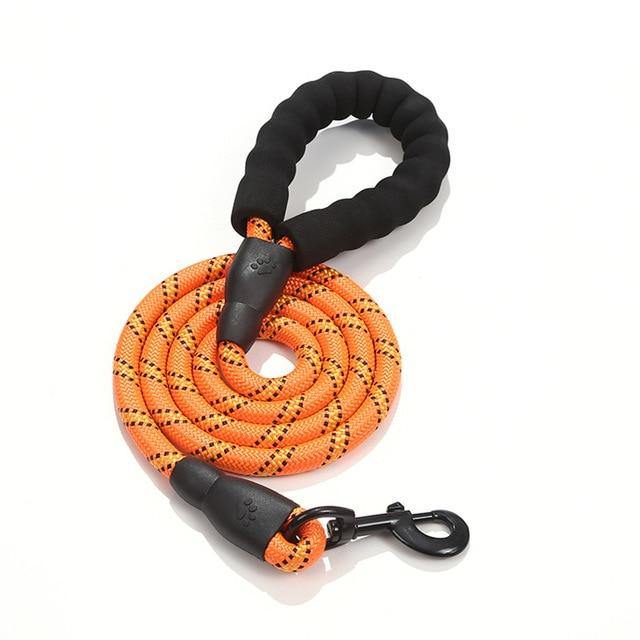 Orange rope dog leash coiled with padded handle on white background