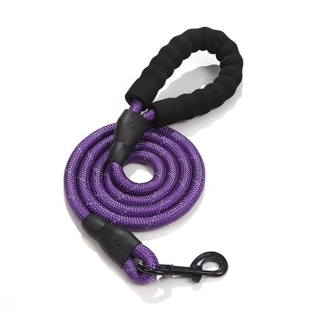 Purple rope dog leash coiled with padded handle on white background