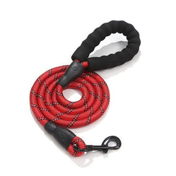 Red rope dog leash coiled with padded handle on white background