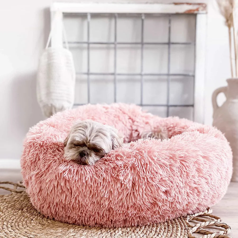 A small dog curled up in a pink round dog bed with high sides