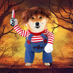 Scary dog costume Chucky outfit for Halloween, featuring a striped shirt, wig, and toy knife for a spooky pet look.