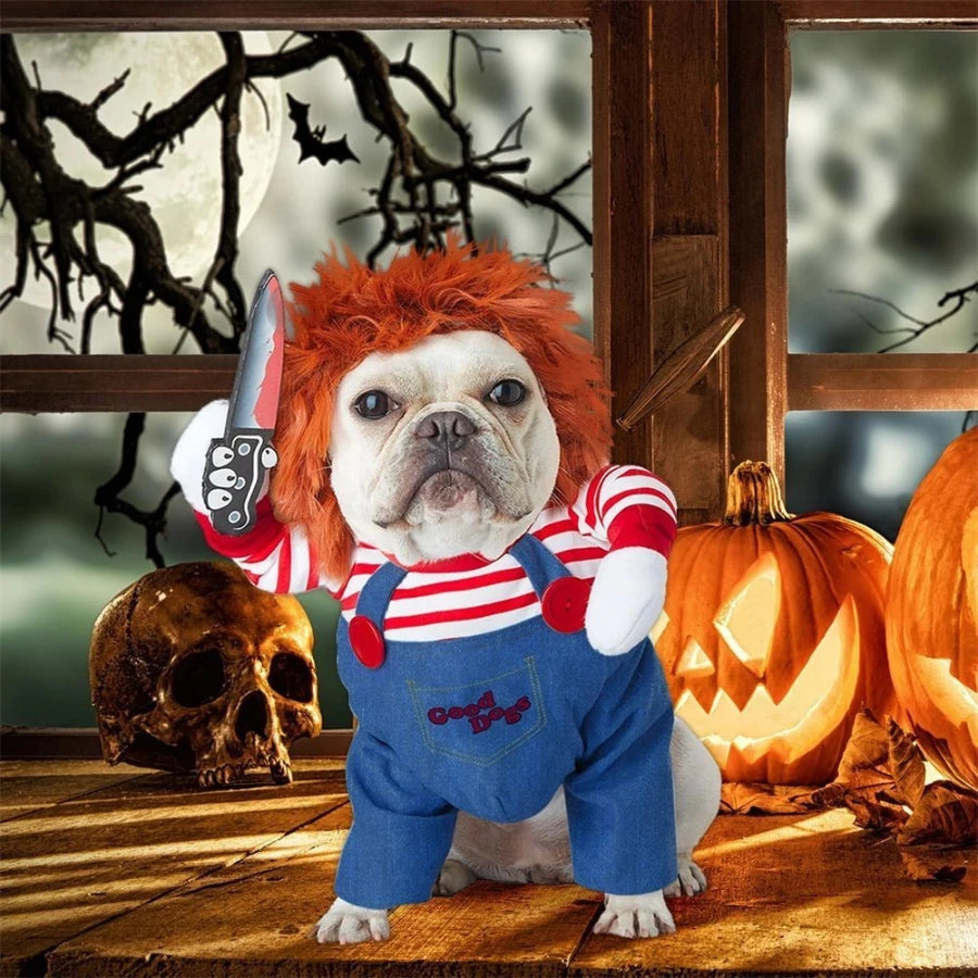 French bulldog in a Chucky-themed Halloween costume, with striped shirt, wig, and toy knife for a spooky pet outfit.