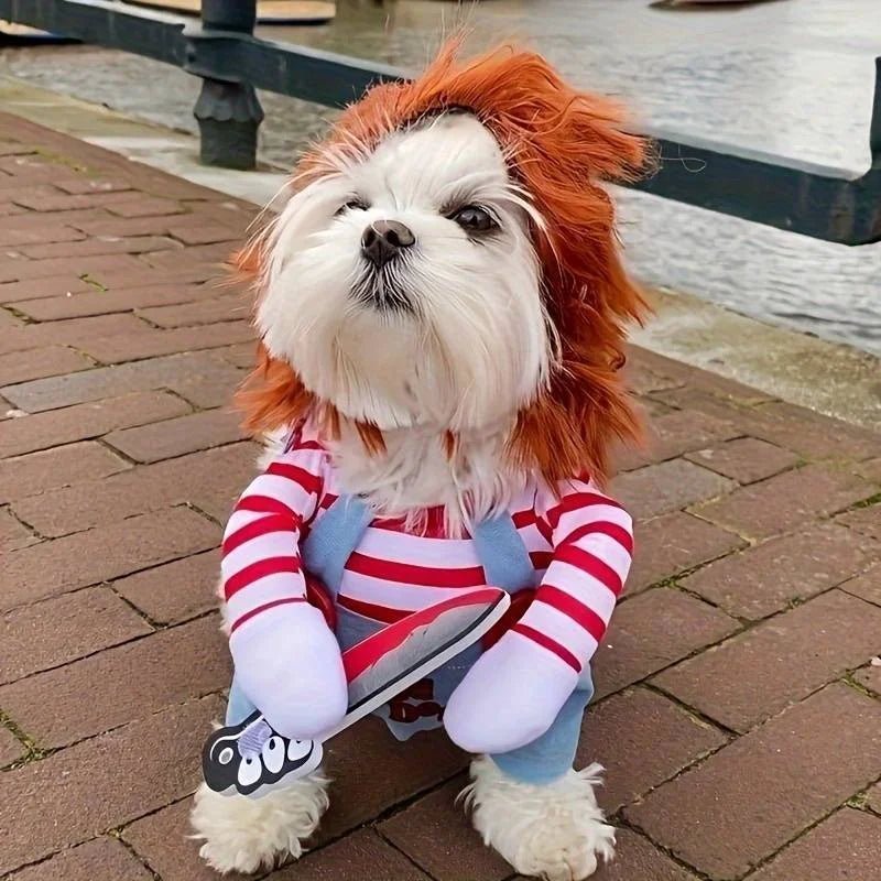 Small white dog in a Chucky-inspired Halloween costume, complete with striped shirt, toy knife, and red wig for a spooky look.