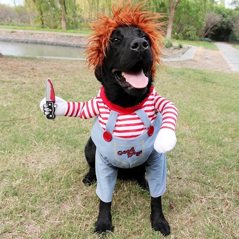 Black dog wearing a Chucky-themed Halloween costume with red striped shirt, wig, and toy knife, posing outdoors.