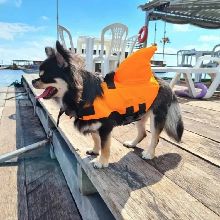 Chihuahua wearing an orange shark fin life jacket standing on a dock, ready for a safe and fun water adventure.