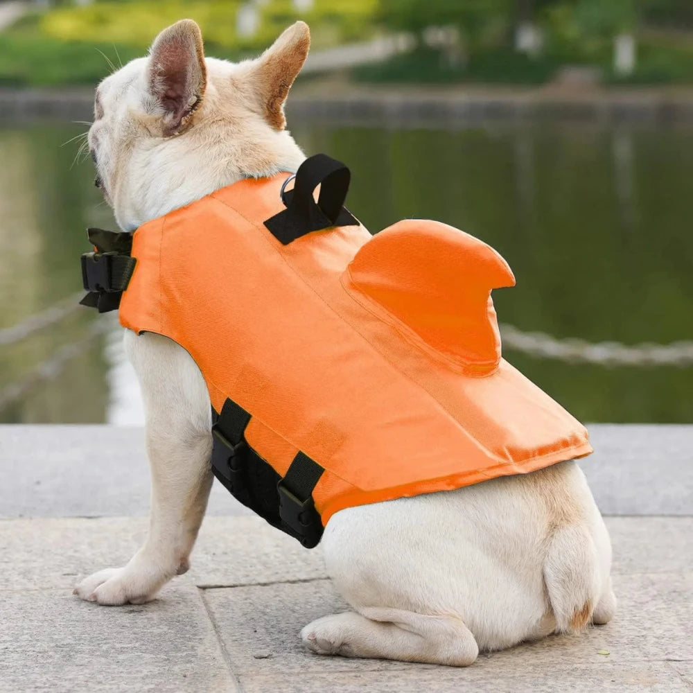 Dog shark life vest in orange seen from behind by the water