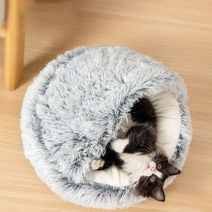 Cozy cat resting inside a fluffy shell-shaped pet bed, perfect for small dogs and cats, providing warmth and comfort.