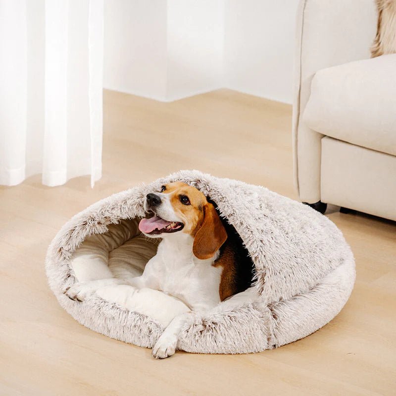 Beagle lounging in a cozy shell-shaped dog bed with fluffy exterior, providing warmth and comfort for pets.