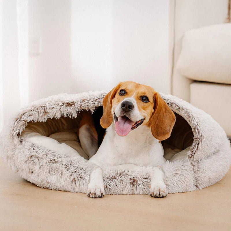 Happy Beagle resting in a plush, shell-shaped dog bed, offering ultimate comfort and warmth for small to medium pets.