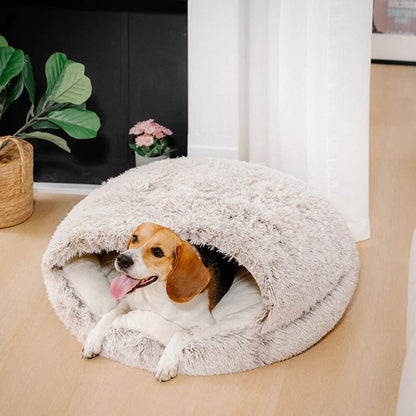 Beagle resting inside a fluffy shell-shaped dog and cat bed, offering cozy comfort and warmth for pets.