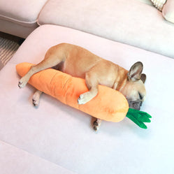 French bulldog sleeping while hugging a giant dog carrot toy